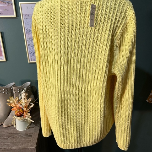 NWT Talbots Soft Yellow Knit Sweater size XL P 🧚‍♀️ - Picture 3 of 4